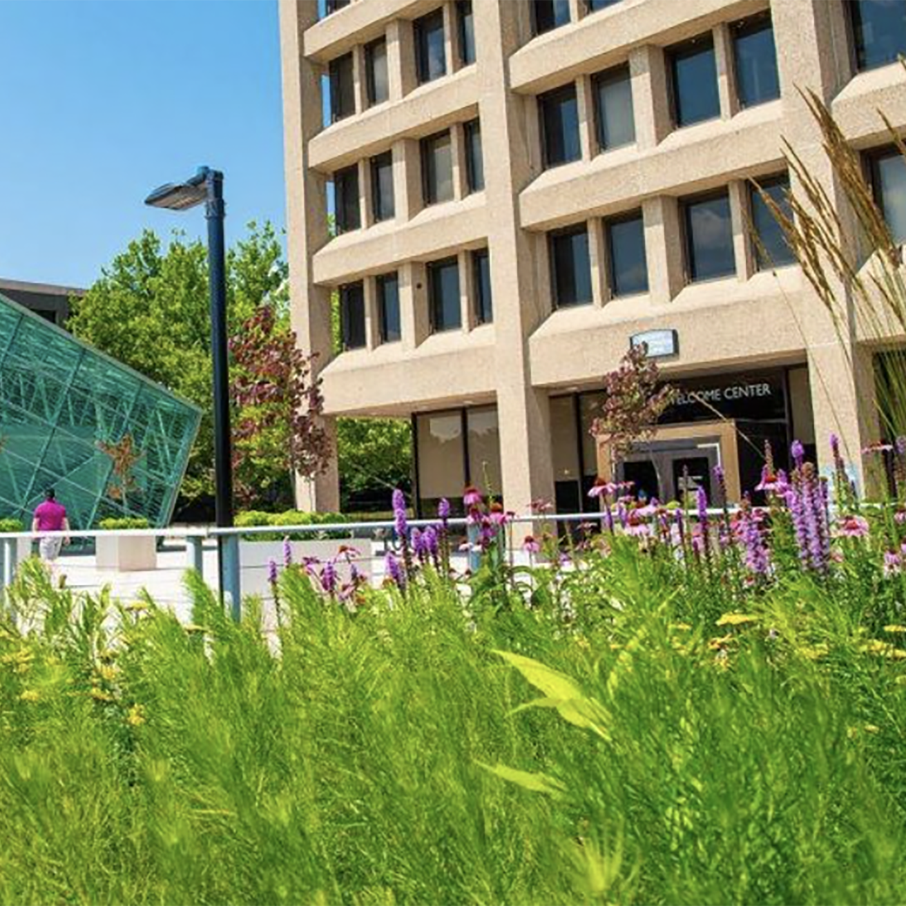 SUNY College at New Paltz campus