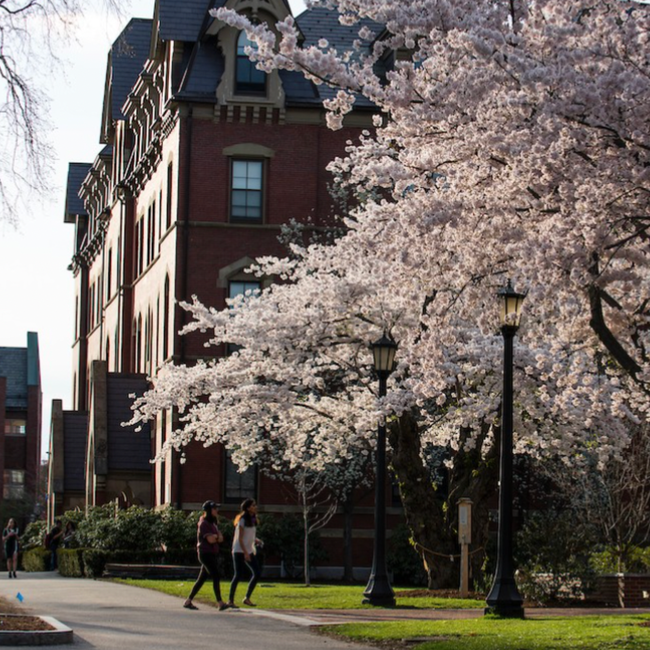 Tufts University campus