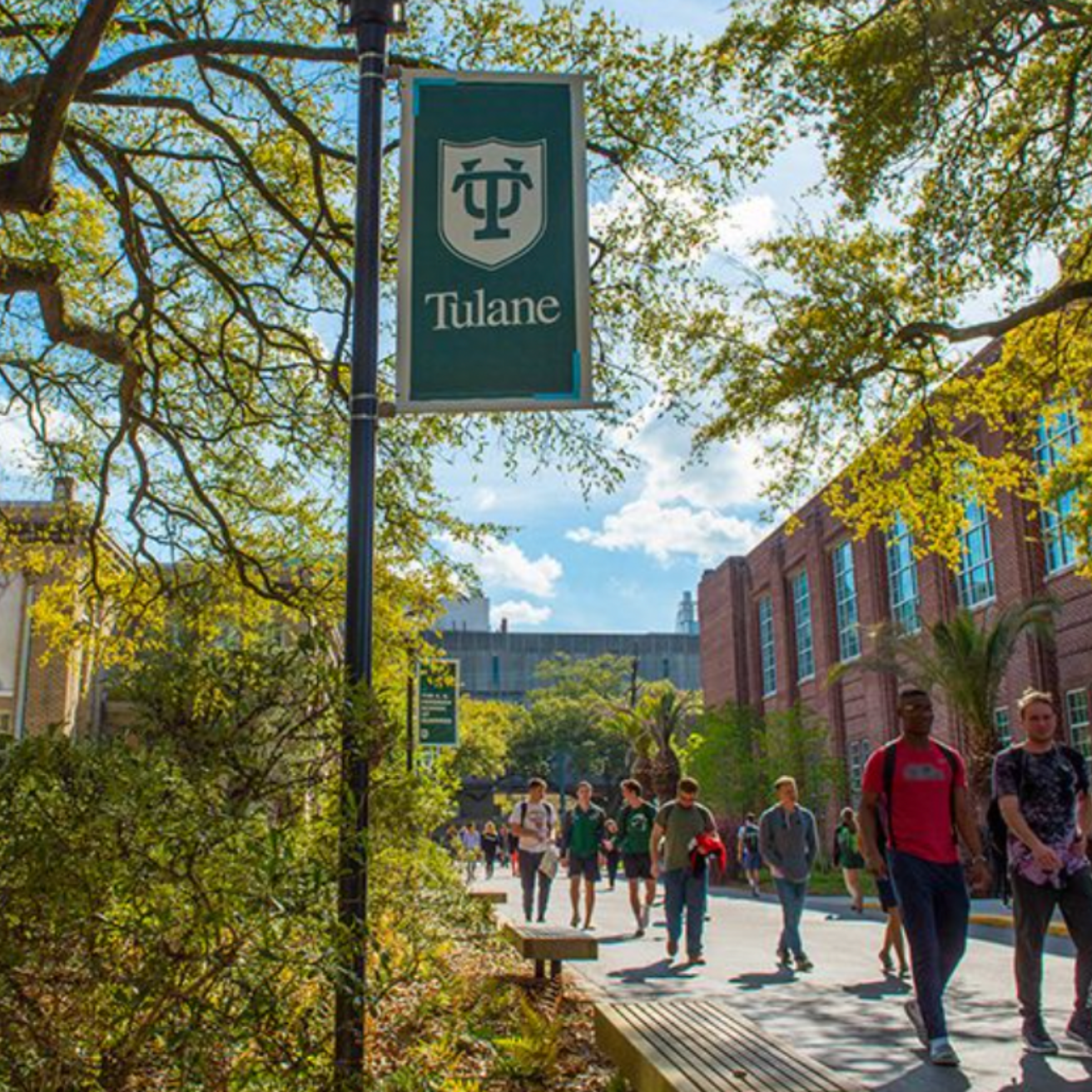 Tulane University campus
