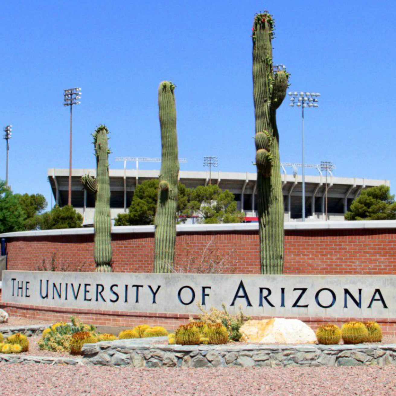 University of Arizona campus